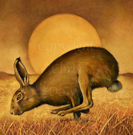 New cards by Chris Down and Naomi Cornock