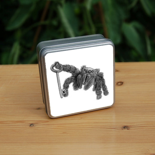 Black and white pencil drawing of a fluffy black spider using a front leg to hold a key upright. The appearance and posture is furry and friendly, and not intended to be scary.