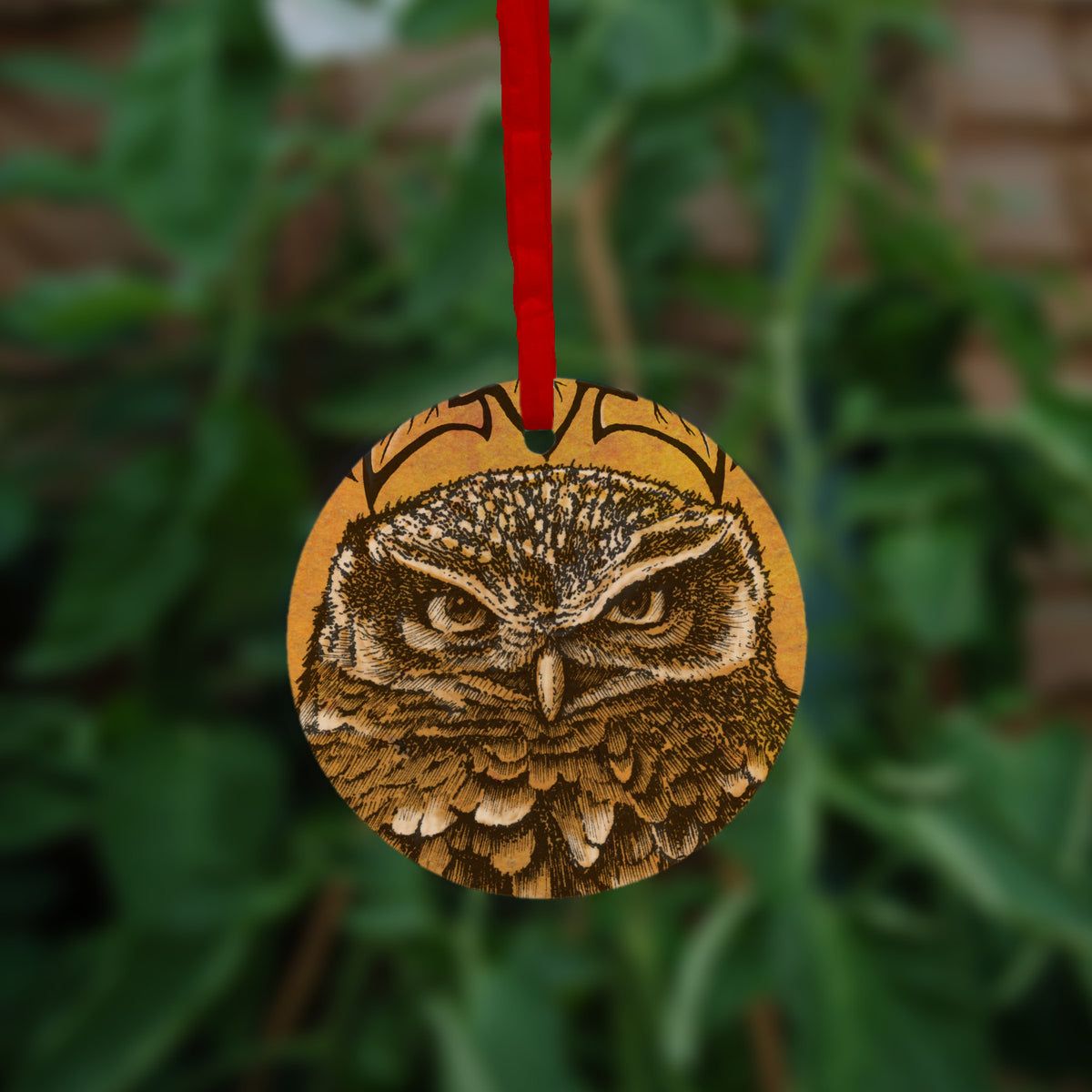 The second side of the ornament, showing a close-up of the owl's face.