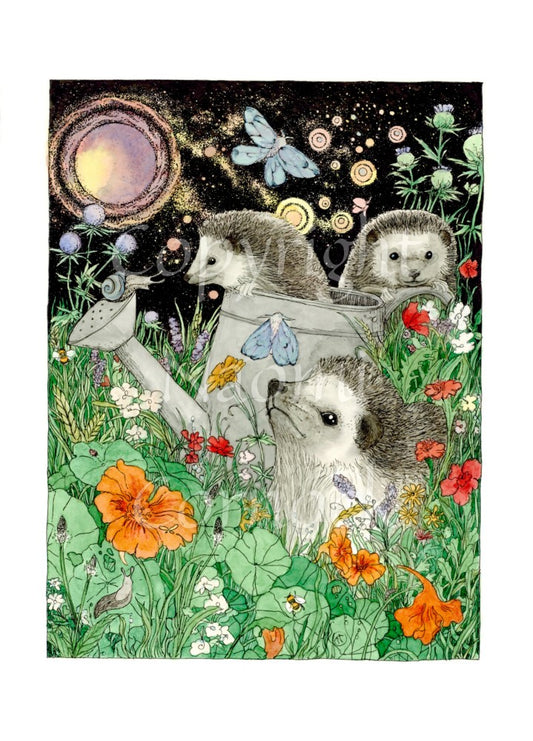 It's night-time and three hedgehogs are playing in a flowerbed. One sits amongst orange and red blooms. Behind him, one is climbing out of a large watering can and another peers over an upturned flower pot. Blue moths sit on the watering can and flitter overhead. A full moon shines in the night sky.