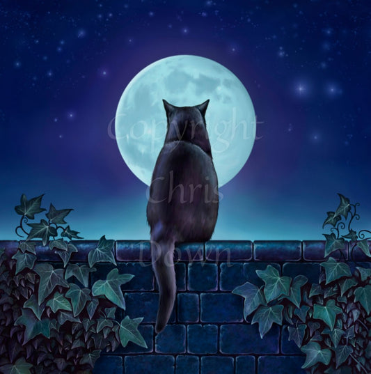 A black cat sitting on a brick wall at night looking towards the full moon. There is ivy on the wall either side of the cat. Colours are mostly deep blues and greens.