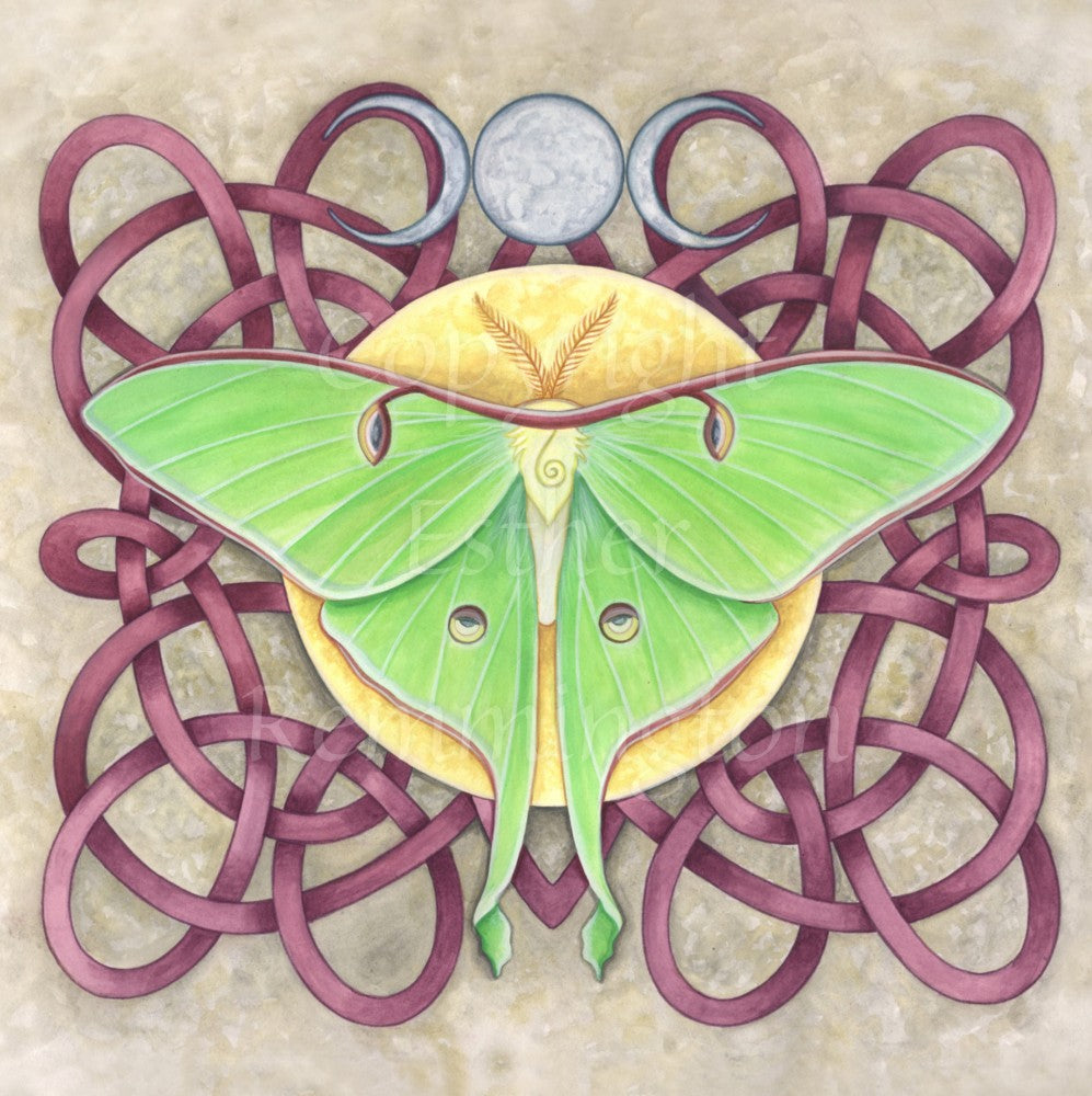 A deep pink Celtic-style knotwork fills the design. On top of the knotwork, in the centre, a Luna Moth sits on a yellow disc. There's a silver triple moon above.