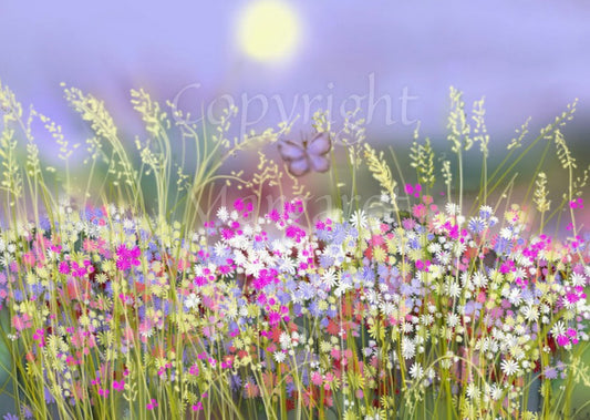 Painting of a summer meadow. The bottom half of the image features many tiny flowers in pinks, blues and whites. Grasses rise above them towards the blue sky, where the sun is also shining. A blue butterfly flutters over the flowers.