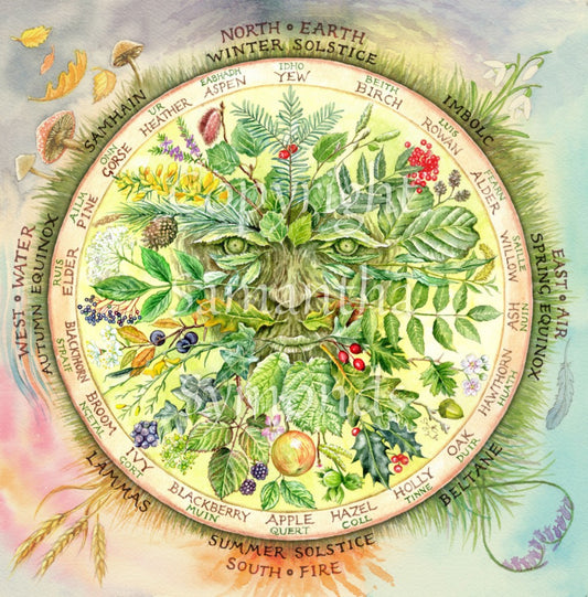 The leaves, berries and fruits of UK native trees sprout from a central green face. The face is surrounded by a circle listing the names of the trees in English and the Ogham alphabet. Outside the circle, starting with Winter Solstice / North / Earth at the top and working clockwise, are the names of the traditional festivals and the four points of the compass against a floral background.
