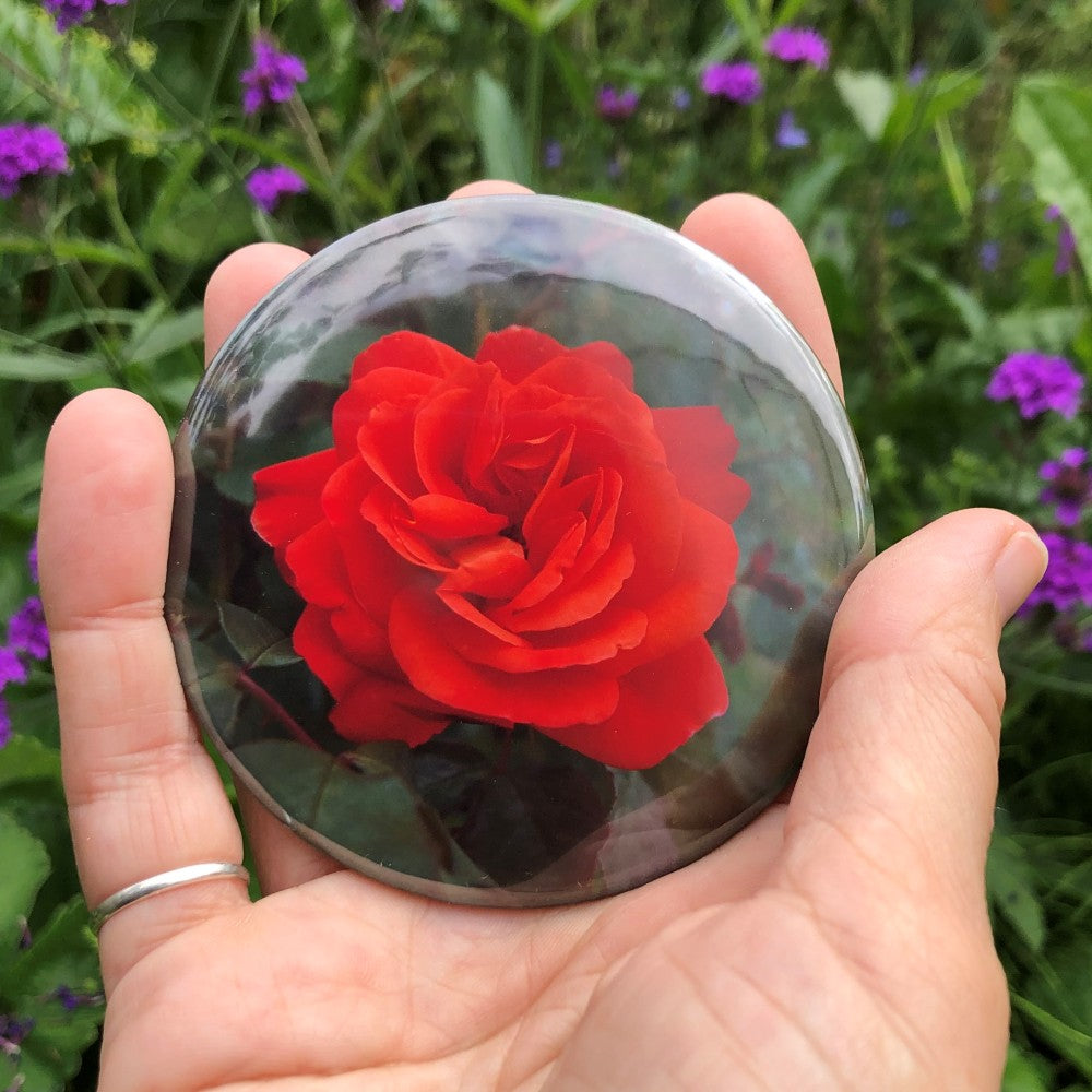 An open, bright red rose is central to the design. Leaves and flowers can be seen in the background.