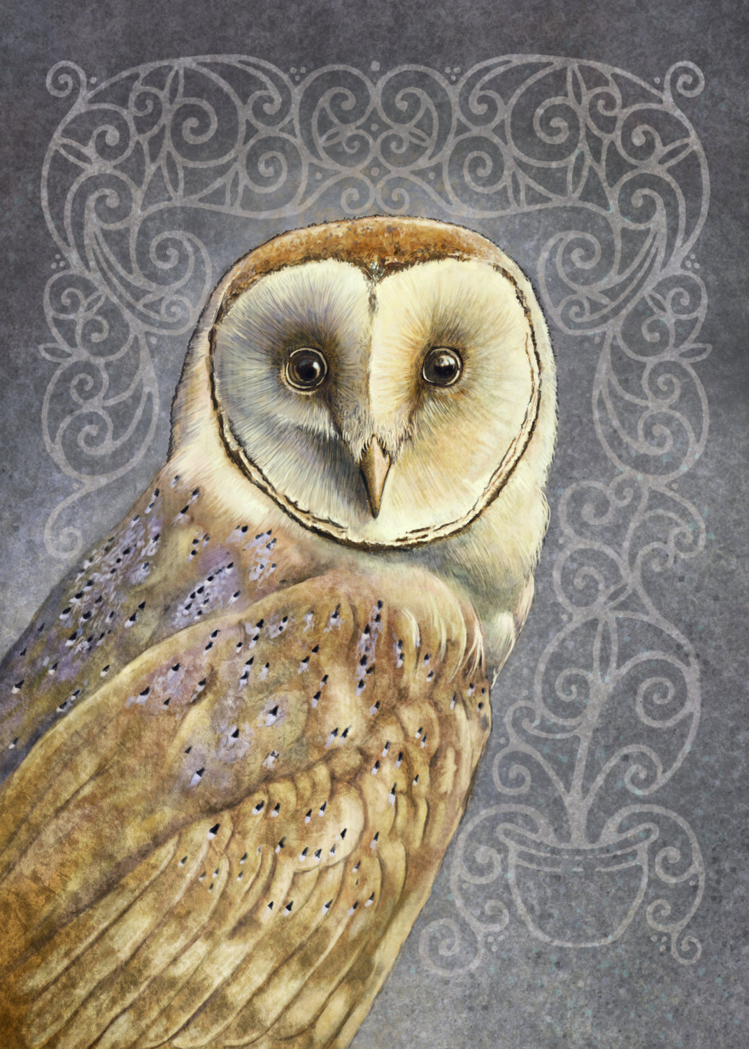 Owls! Beautiful owls by Chris Down!