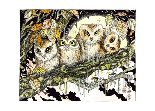 NEW: Beautiful pagan/nature-themed cards