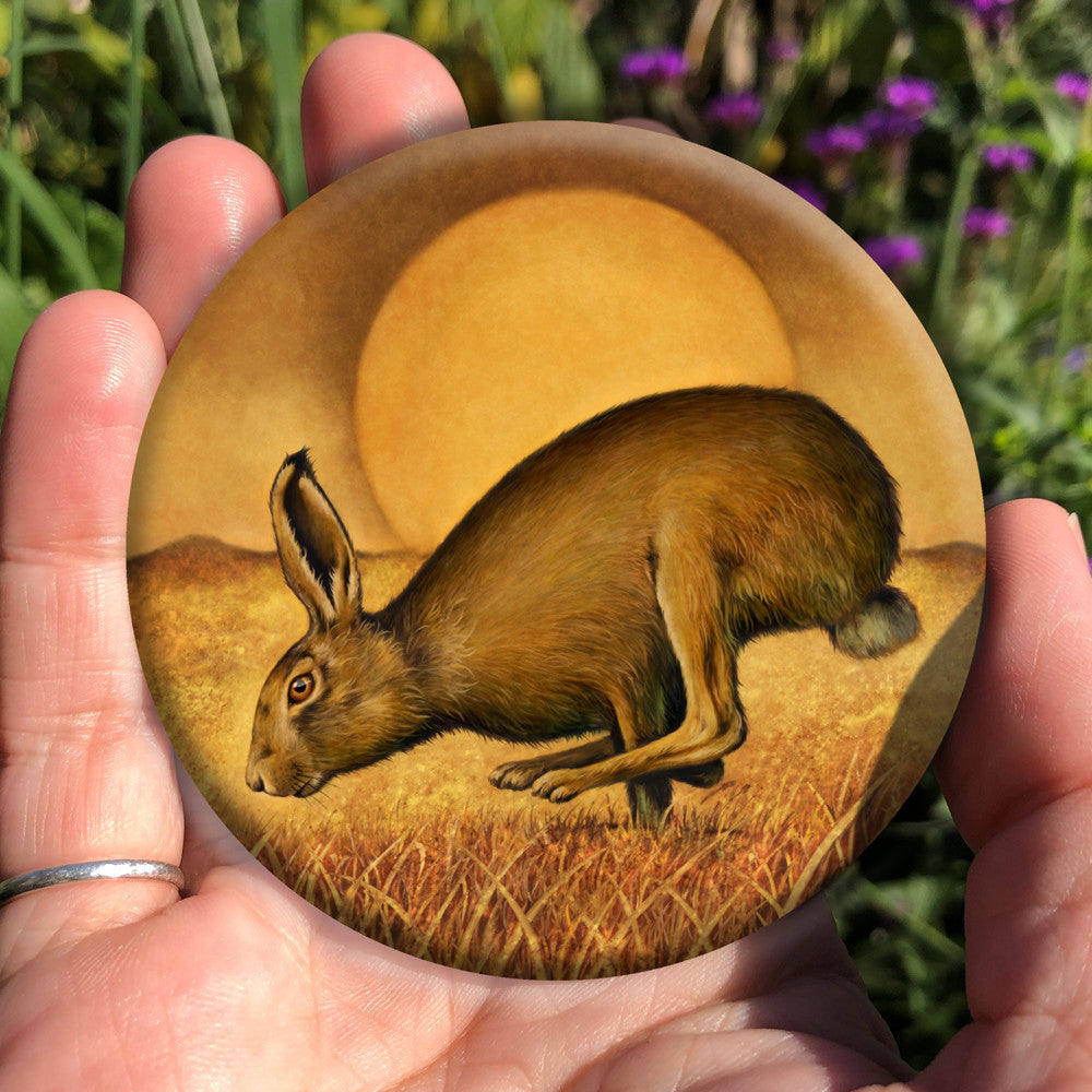 A brown hare runs from right to left, back curved, hind legs ahead of front legs. The sun rises behind, casting a golden brown glow across the sky, field and grass beneath the hare.