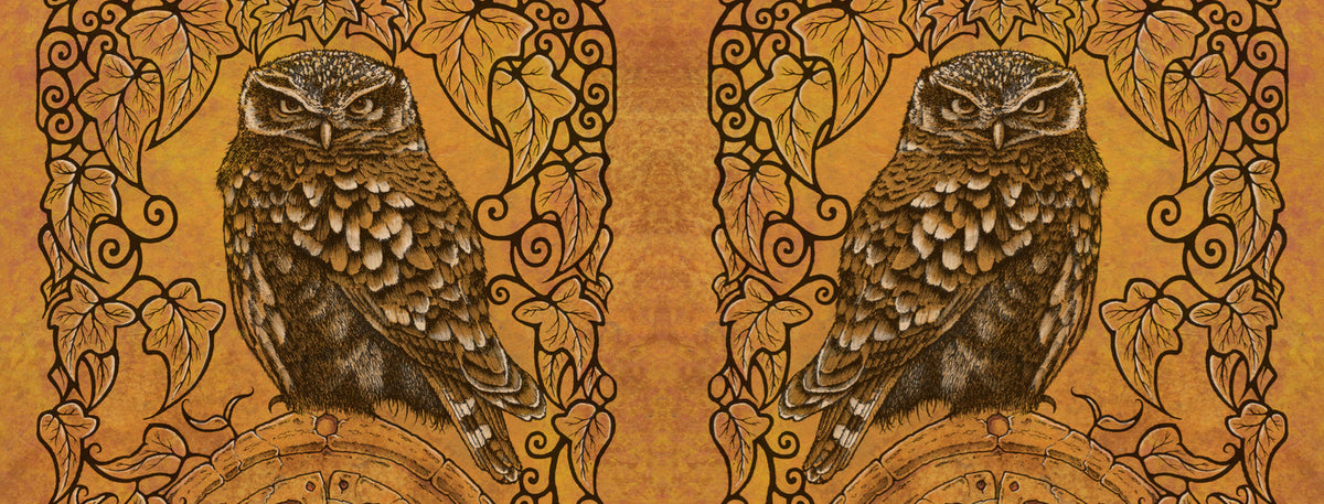 The wrap image of the mug. The owl is shown on each side of the mug. One owl is reversed, so they appear back-to-back.