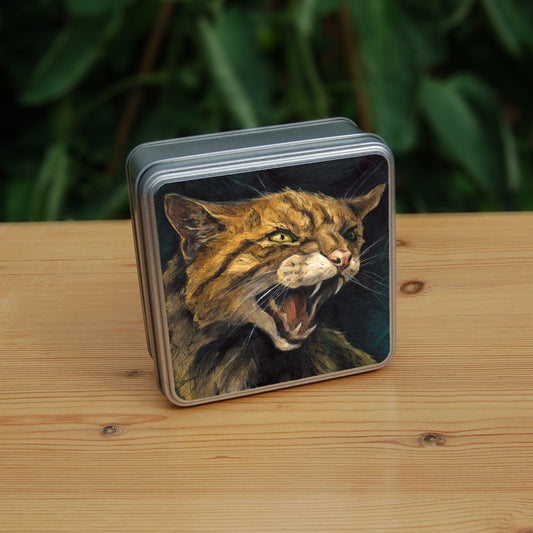 A square tin: The head and body of a snarling brown striped cat. 