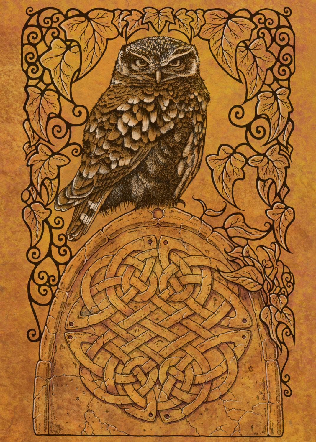 A compact-shaped owl with brown feathers sits sideways on an upright, roughly semi-circular stone arch, while looking directly at the viewer. The arch is decorated with a central circular Celtic knotwork design. A border of ivy leaves and simple curls surrounds the owl and down each side of the arch. The design is mostly monochrome apart from the owl, with a background of mottled dark tan.