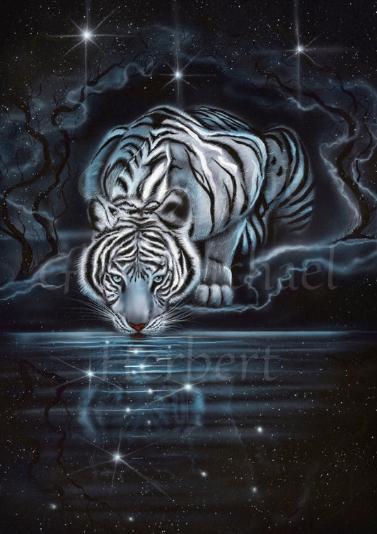 A white-striped tiger crouches and drinks from a dark pool at night. The pool reflects the tiger and the night star-lit sky above.