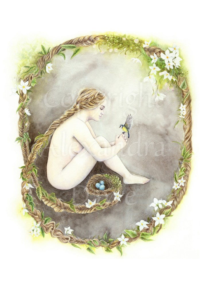 A young woman sits, facing sideways and naked, within a circular design formed from her own plaited hair. (No intimate parts can be seen, apart from the side of one breast.) White flowers and leaves are twined in her hair, and the completion of the circle of hair ends back next to her, where it forms a bird nest. There are three blue eggs in the nest, and blue tit is landing on the woman's hand.