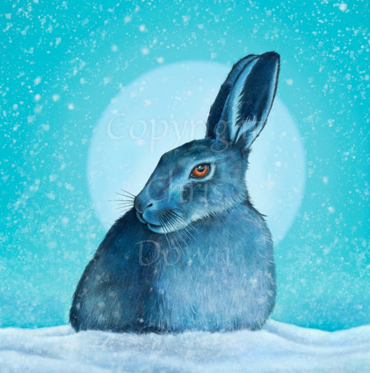 A hare crouches in snow, head turned to one side so one eye faces the viewer. Snow is falling, and a pale wintery sun shines behind. The design is coloured in shades of blue and turquoise, including the hare, which appears blue except for a deep orange eye.