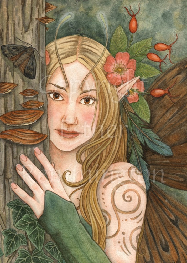 A blond, long haired fairy peers round from behind the trunk of a tree, one hand touching the trunk. The trunk is covered in saucers of fungus, and a moth sits amongst them. The fairy has small brown wings, and wears feathers, flowers and berries in her hair. Two thin antennae protrude from the inner edges of her eyebrows.