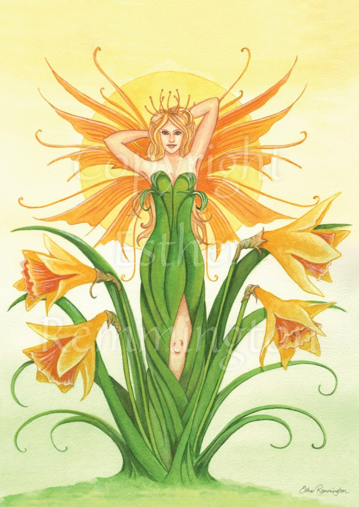 A fairy rises from daffodils, her orange wings open behind her arms, which are raised with her hands behind her head. She appears to be part of the daffodil plant, and the dress she wears is made from daffodil leaves. The sun rises behind her. Overall colours are green and orange.