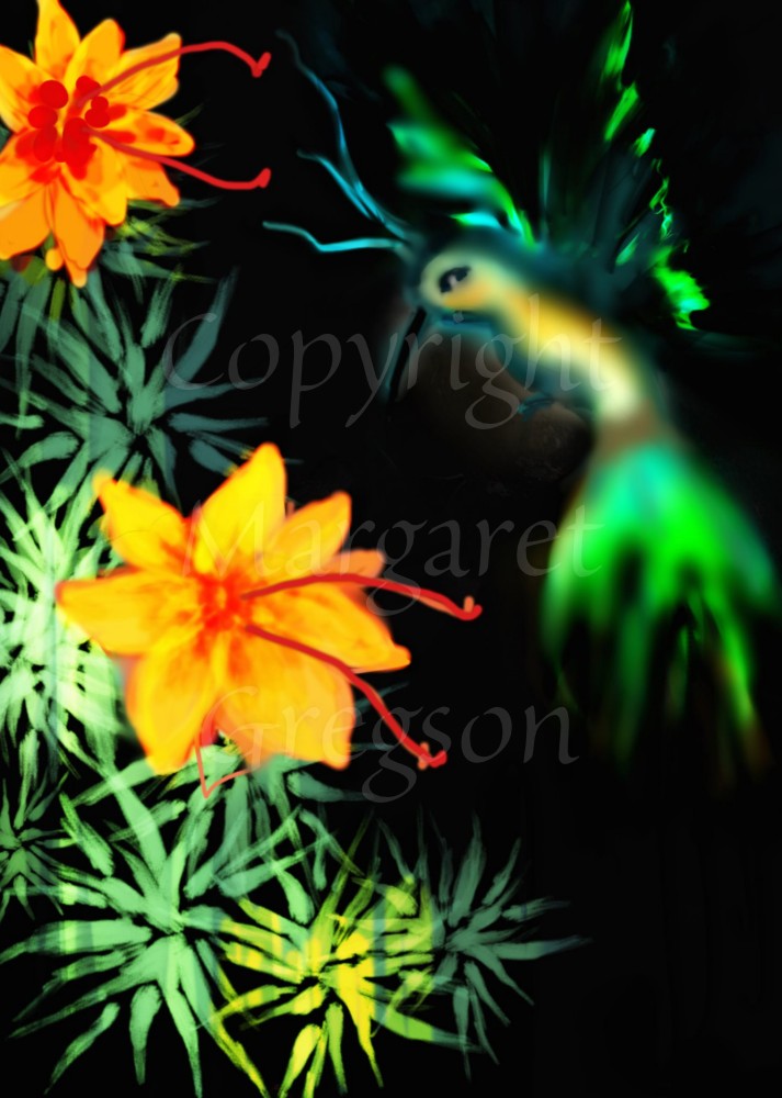 A bright green and orange hummingbird, displayed in soft focus on the right of the design, prepares to feed from two bright orange flowers on the left, with green leaves behind. The background is black.
