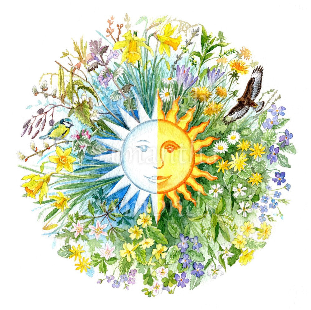 A mandala-style painting dominated by a sun in the centre which is half white, half orange. The sun has eyes, nose and mouth, and is surrounded by spring flowers including daffodils, crocuses, forget-me-nots, dandelions and cowslips. A blue tit sits on a branch to the left, while a hawk flies on the right. Colours are yellows, greens and blues on a white background.