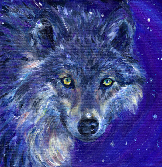 The head of a wolf, looking directly at the viewer. The overall colour of both the wolf and the background are shades of blue, with the exception of yellow/green eyes and flashes of paler fur around the neck.