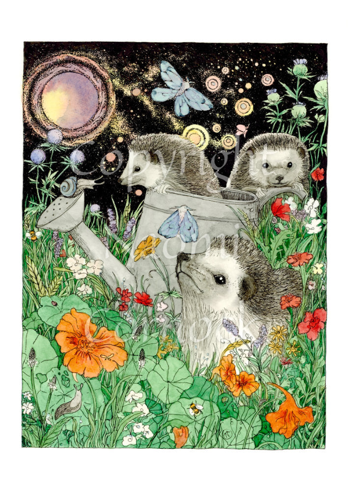 It's night-time and three hedgehogs are playing in a flowerbed. One sits amongst orange and red blooms. Behind him, one is climbing out of a large watering can and another peers over an upturned flower pot. Blue moths sit on the watering can and flitter overhead. A full moon shines in the night sky.