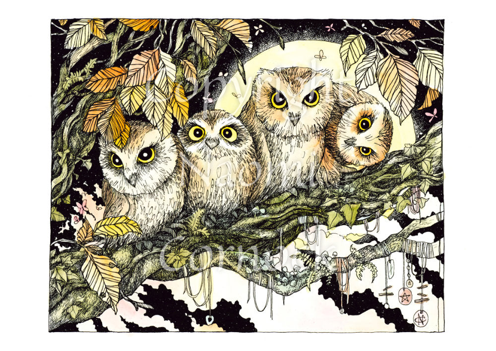 Four owls sit on the branch of a tree looking towards the viewer. One owl at the end has his head tilted sideways. Brown leaves splay down from above and a full moon shines behind them. Clouties and other offerings are wrapped around a branch below them.