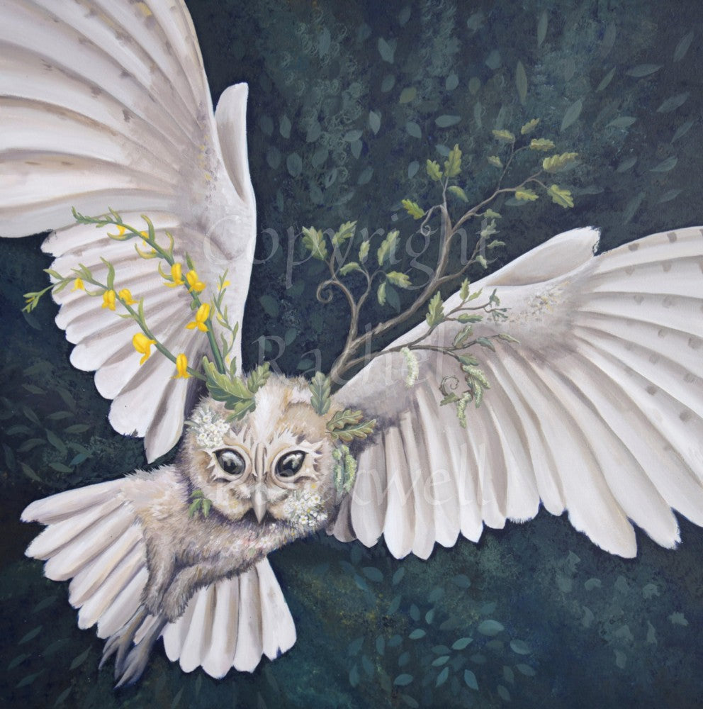 A white owl fills this painting as it flies from the bottom left towards top right. Stems of Meadowsweet with its yellow flowers sprout from the left side of her head, a young oak branch from the right.