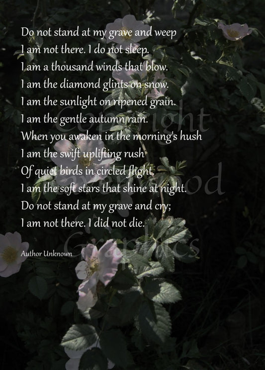 A subdued, dark background featuring a pink (dog) rose bush is overlaid by the poem from the product description, written in a white, artistic serif font.